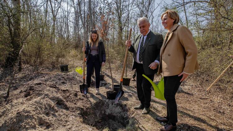 A Mintafásítás és az Újszülöttek Erdeje programok keretében több millió facsemete elültetésével gyarapszik Magyarország zöldvagyona.
